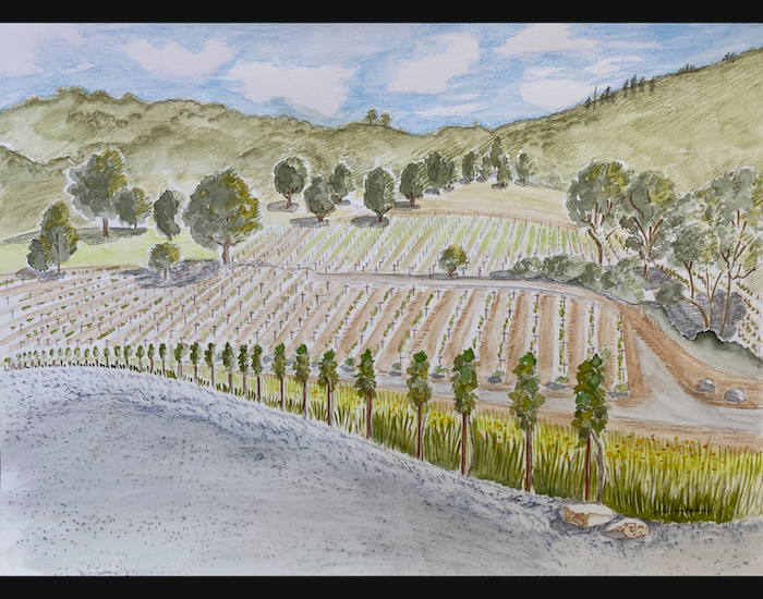 CurrentGalleryV3-4.002