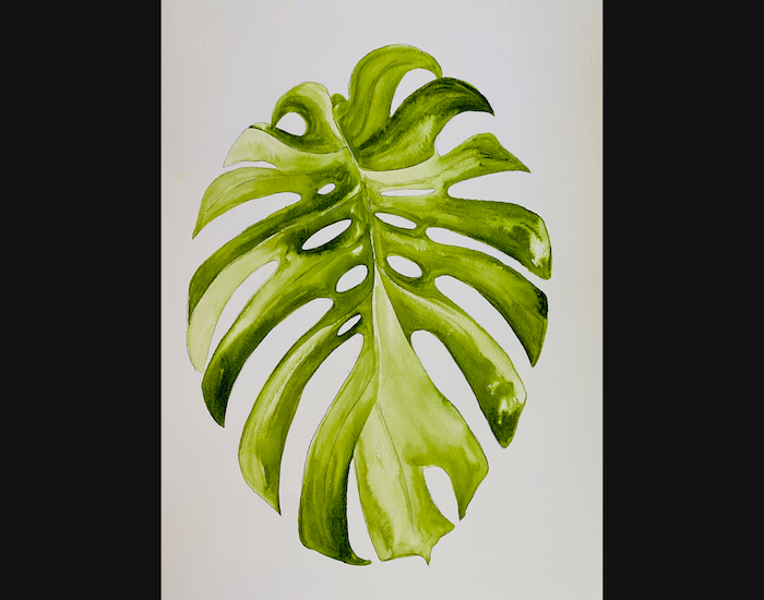 CurrentGalleryV3-4.058